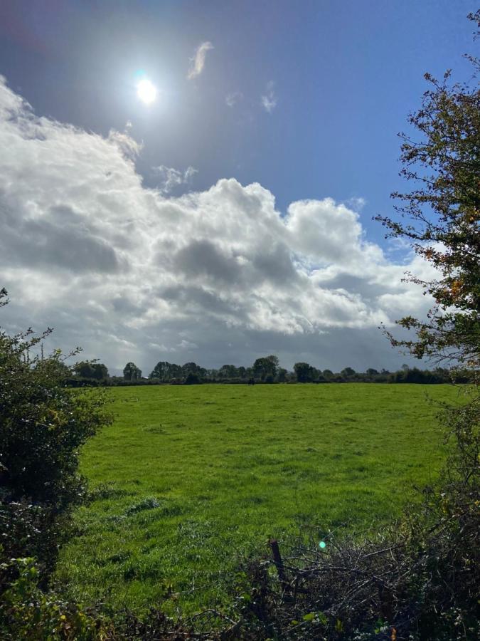 Katie'S Cottage Limerick Junction Buitenkant foto